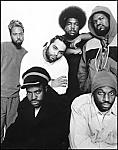 the roots