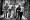 The Cat Empire