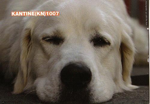 neuwerkkantine konstanz Frontside